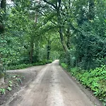 Boshuis Veluwe Holiday home *