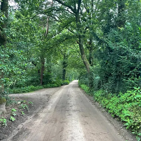 Boshuis Veluwe Vakantiehuis *