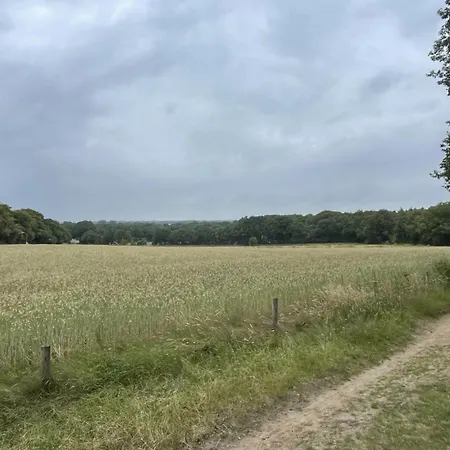 Boshuis Veluwe Lunteren