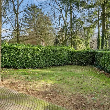 Boshuis Veluwe Holiday home