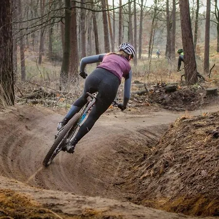 Boshuis Veluwe Vakantiehuis *
