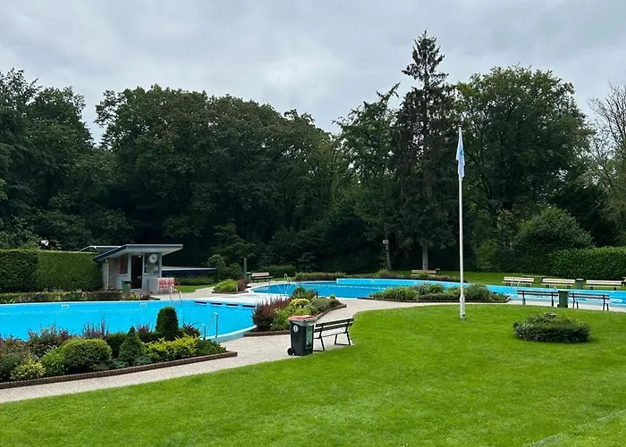 Boshuis Veluwe Holiday home