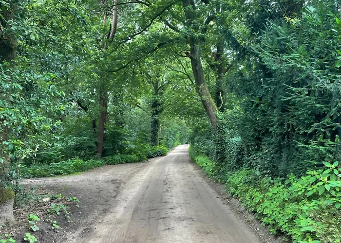 Boshuis Veluwe Holiday home *