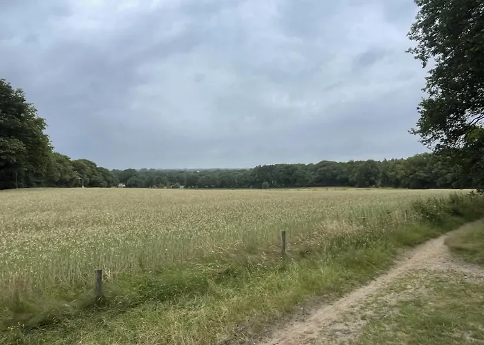 Boshuis Veluwe Lunteren