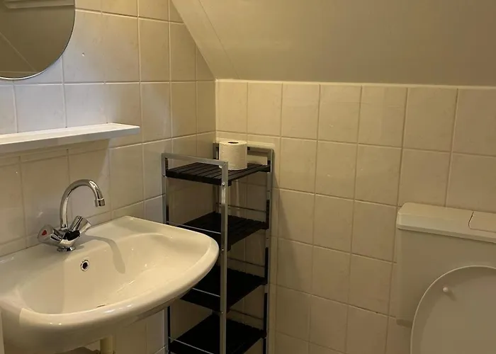 Boshuis Veluwe Holiday home *