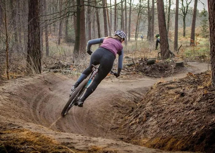 Boshuis Veluwe Holiday home *