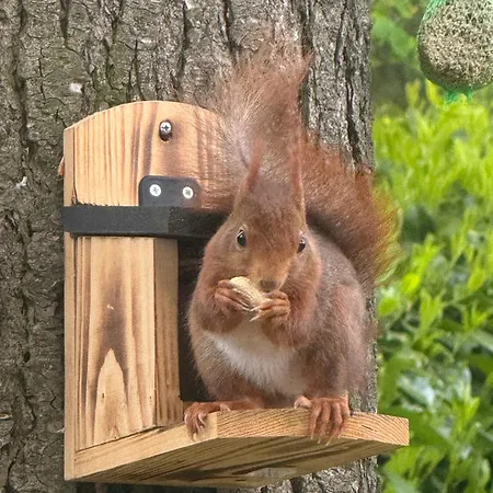 Boshuis Veluwe Сasa de vacaciones Lunteren